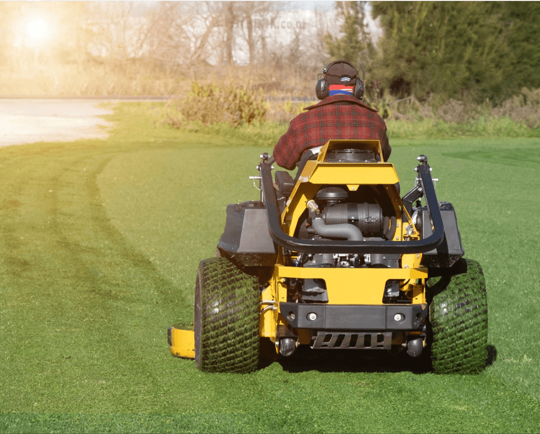 grass cut