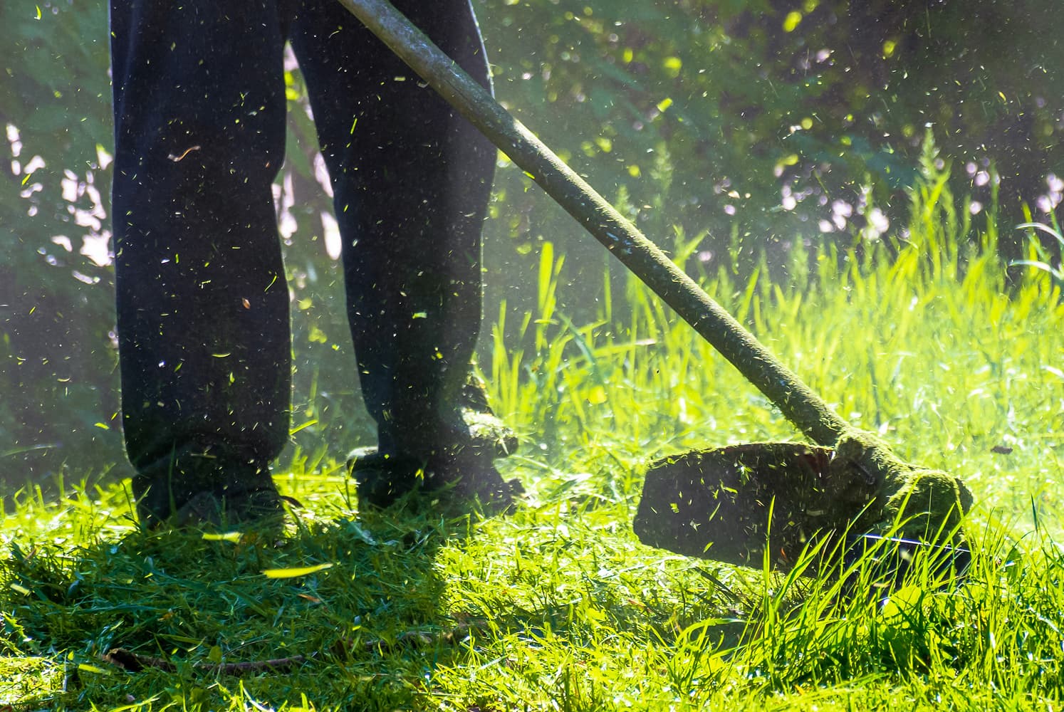 Professional lawn care equipment and tools used by Lupo's Lawn Service